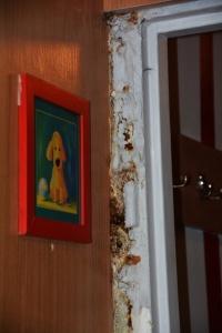 DSC_7084 DSC_7084