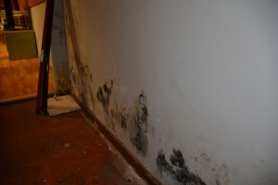 DSC_7092 DSC_7092