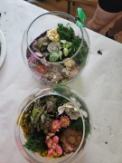 IMG-20250604-WA0009