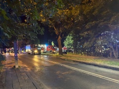 1a3f2d9b-5f7e-4b1f-9d99-5be42de031cd